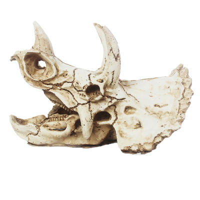 Nomoy Pet  Декорация "Череп трицератопса" 16х8х11